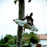 A Lamp On A Tree