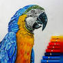 Realistic Parrot?