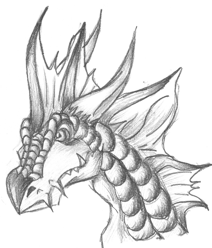 random dragon sketch