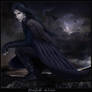 Fiach Dubh, -the Trickster