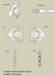 Sansha's Nation Battlecruiser