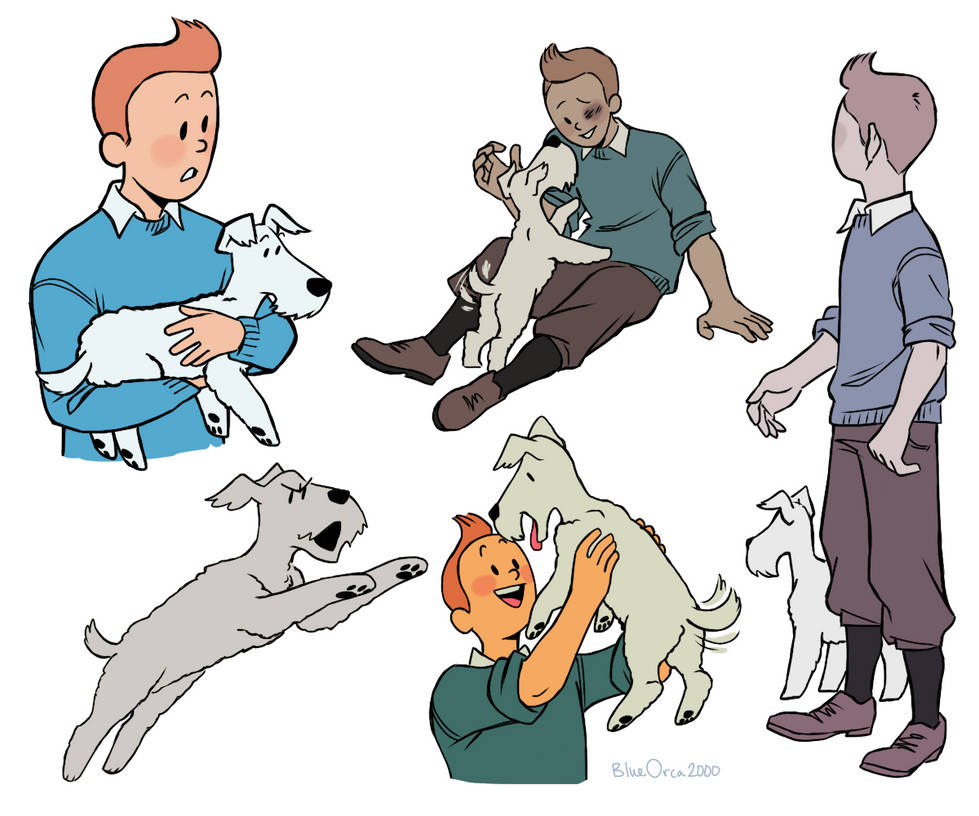 tintin by BlueOrca2000 on DeviantArt
