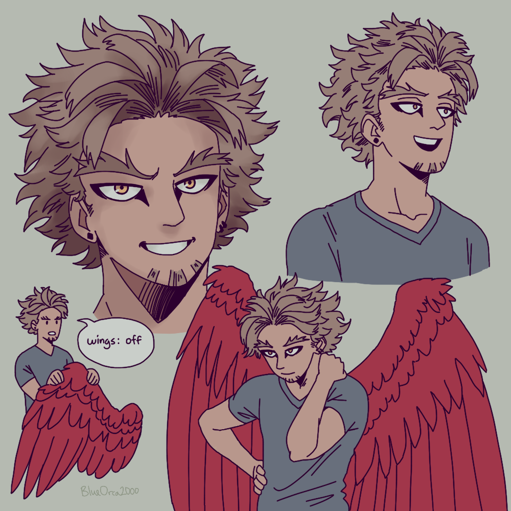 hawks. by BlueOrca2000 on DeviantArt