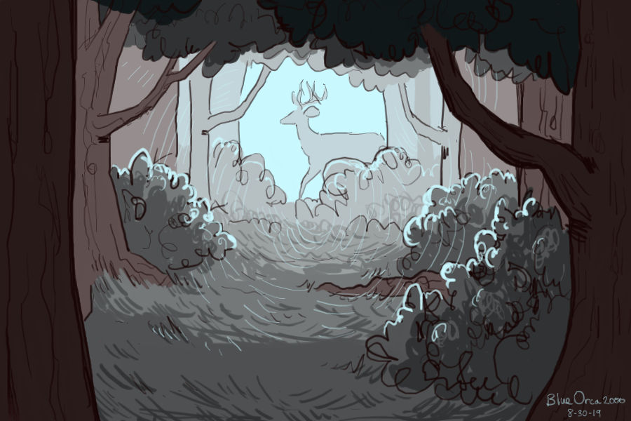 Forestpicture by BlueOrca2000 on DeviantArt