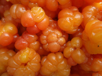 Cloudberries by Irkaaa
