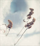 Imaginary LXVII by alessandraaa