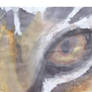 Tiger Eye Watercolor practice