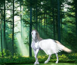 Pegasus im Wald by Suleika2