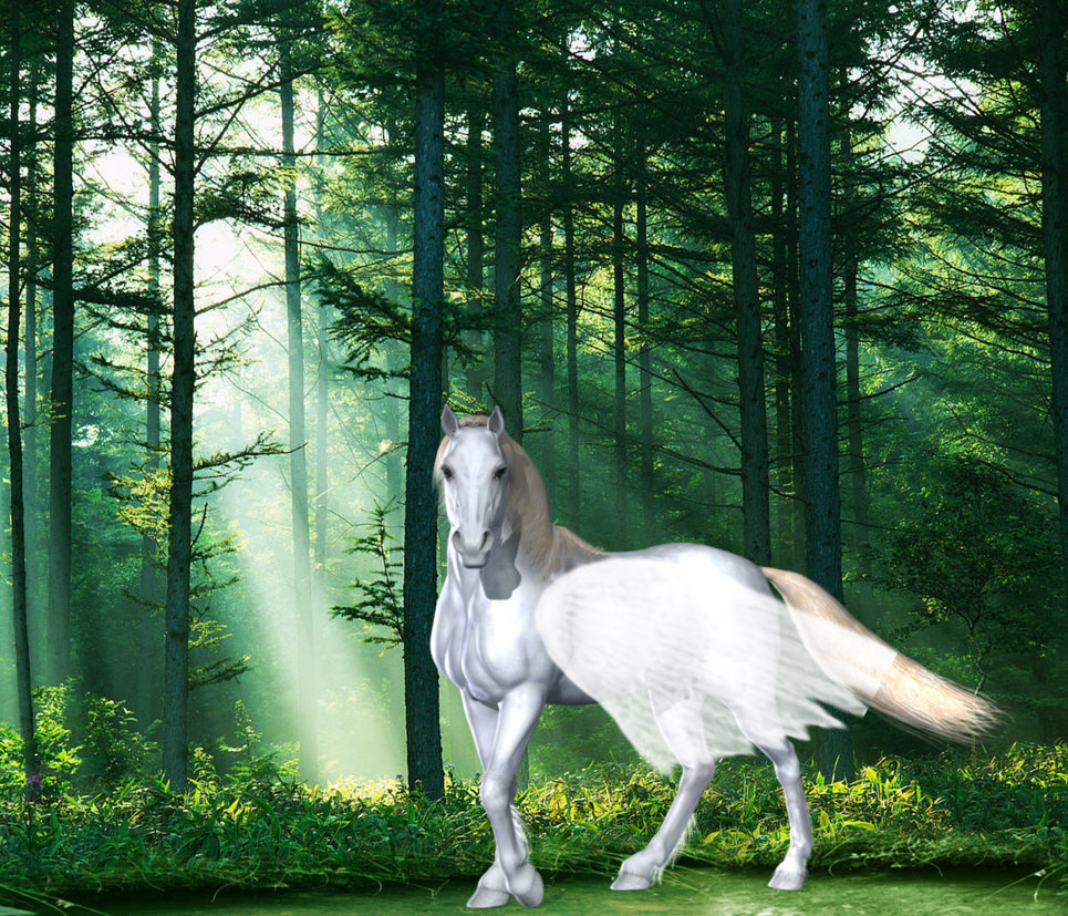 Pegasus im Wald