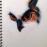 Traditional owl headshot WIP