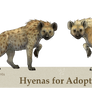 Hyena adoptables - CLOSED