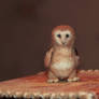 Felting - Other owl.