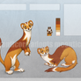 Stoat adoptable 3 - CLOSED