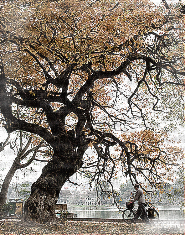 Tree of Hanoi