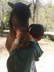 Heichou kissing horse