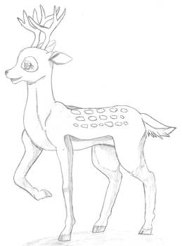 Deer