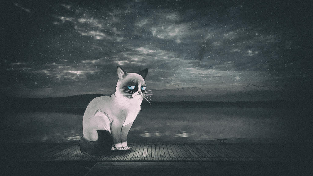 Grumpy Cat Rip Deviantart Grumpy Cat HD by fjbrado on DeviantArt
