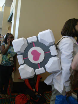 Companion Cube