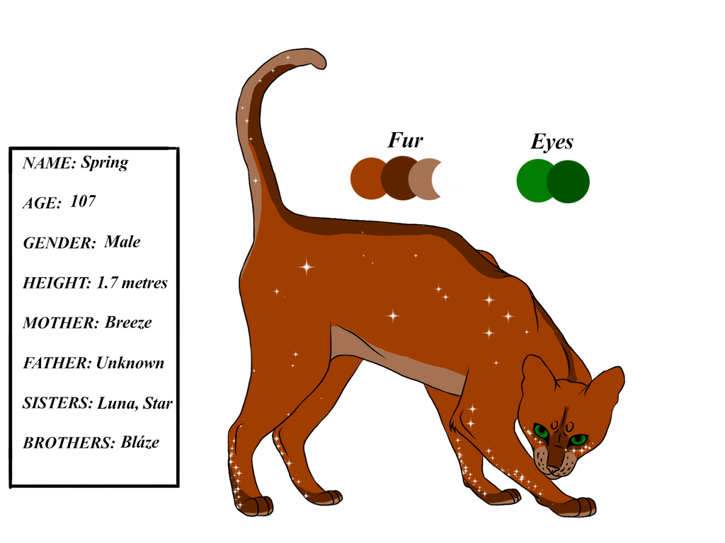 Spring Reference Photo Spring Reference Sheet by animalover501 on DeviantArt