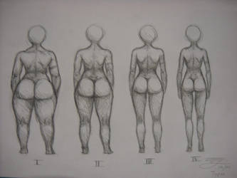 female body types doodle