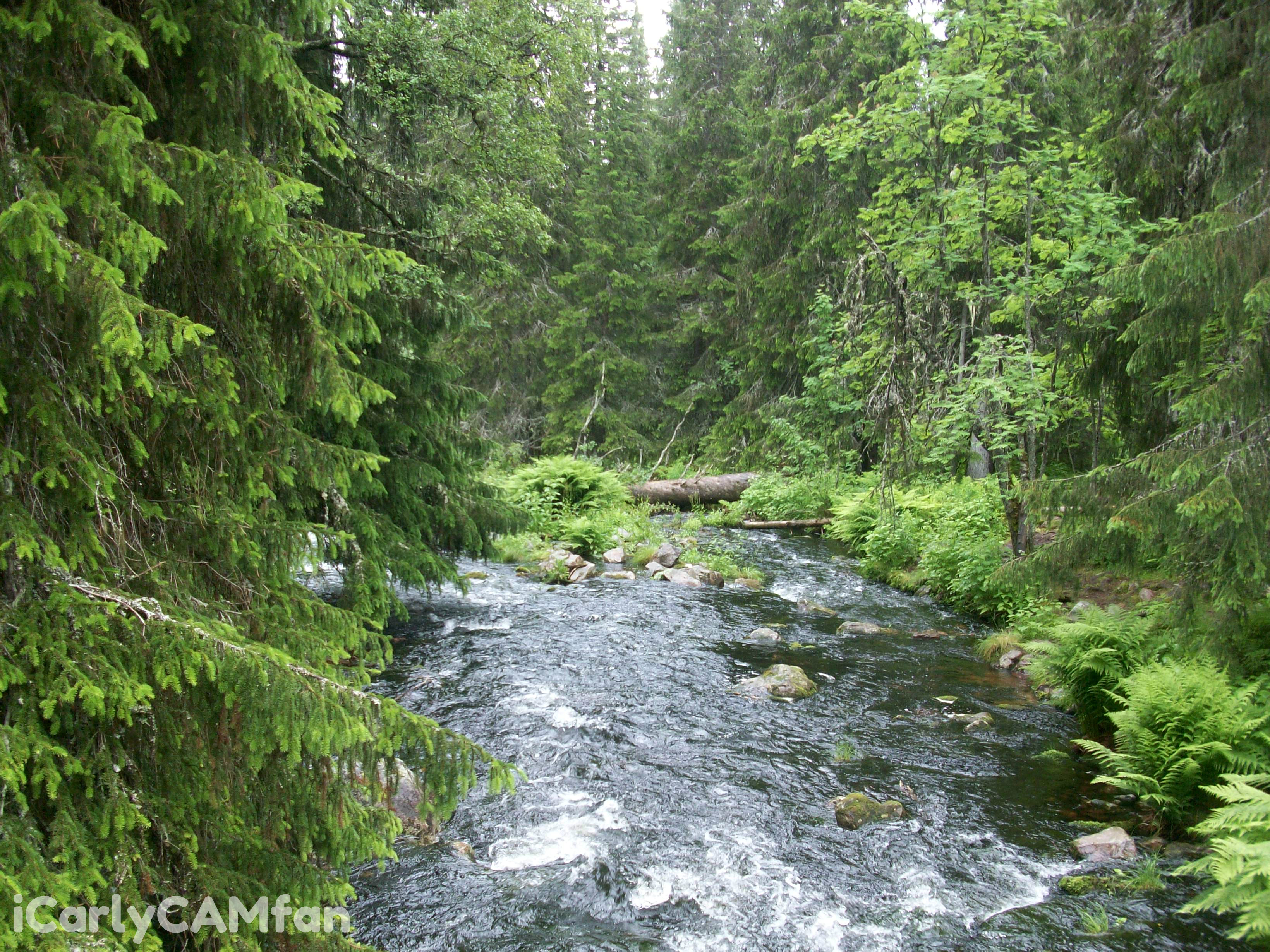 Swedish river