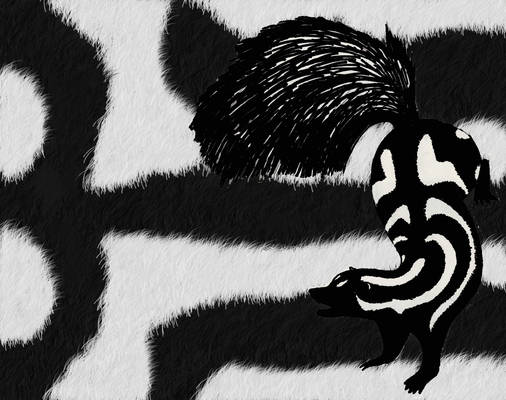 SpottedSkunk