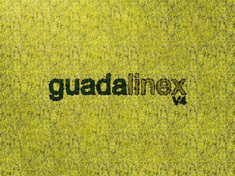 Guadalinex Wallpaper 5