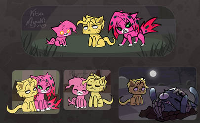 Weird cats