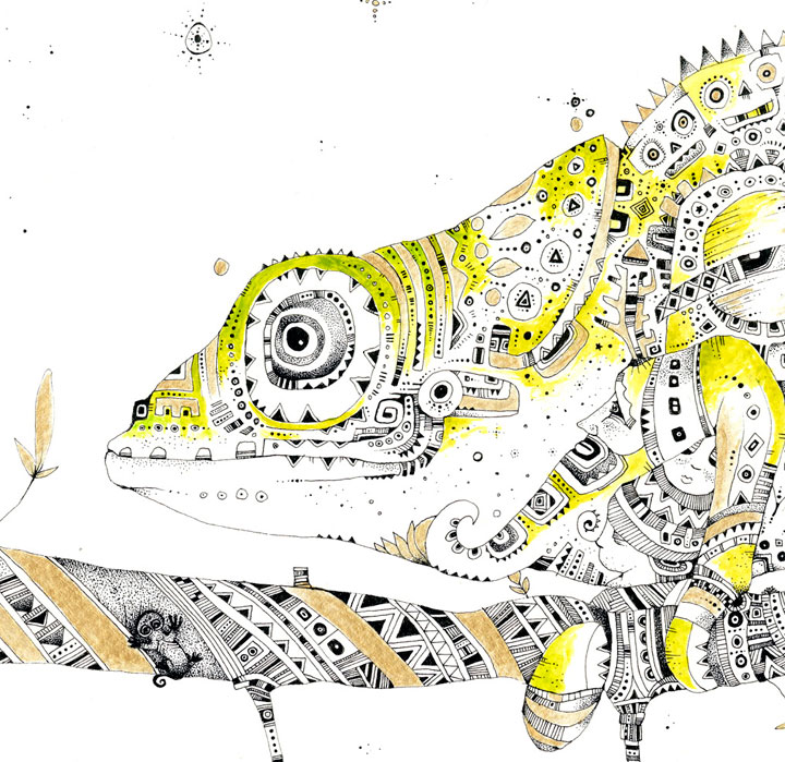 Chameleon-Detail