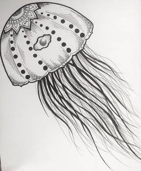 Jellyfish