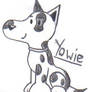 Yowie the dalmation pup