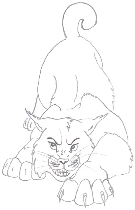 Sketchkat growl