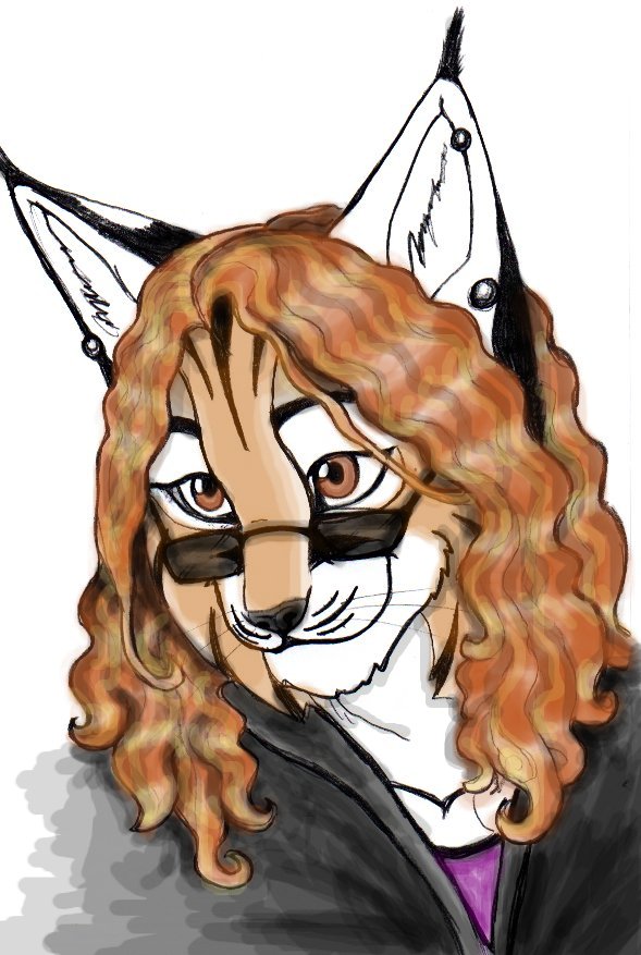 Sketchkat portrait - coloured