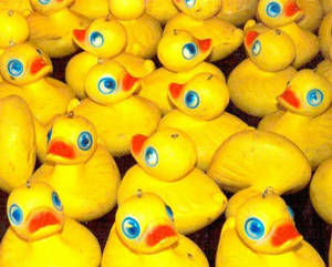 sideshow ducks