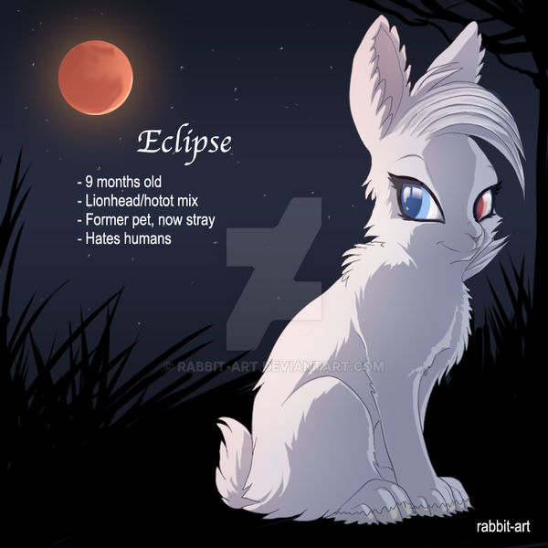 Eclipse And Rabbits Eclipse by rabbit-art on DeviantArt