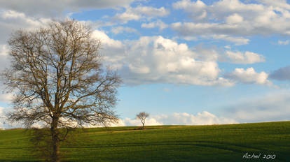 Giboulees en vert