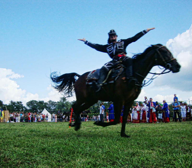 Motion stunts and horses 8