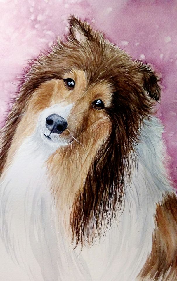 Sweet Sheltie in Watercolor