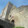 Ludlow Castle - Moat view