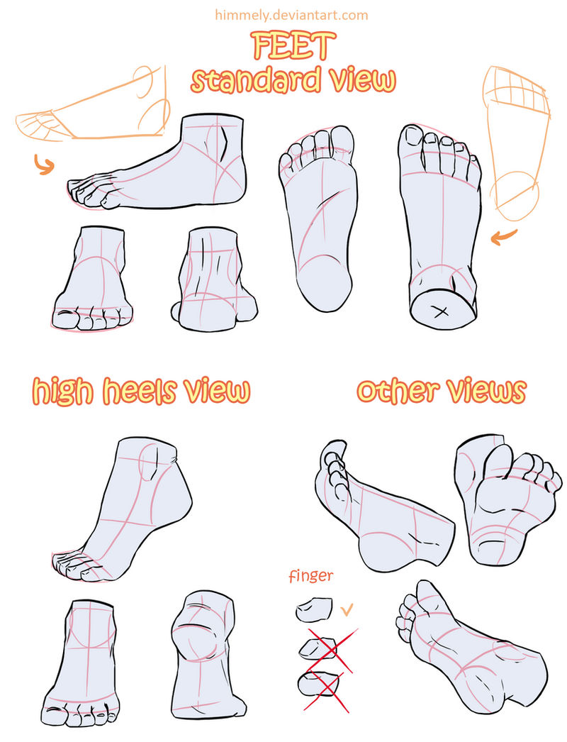 Feet Study - anatomy | reference sheet by Himmely on DeviantArt