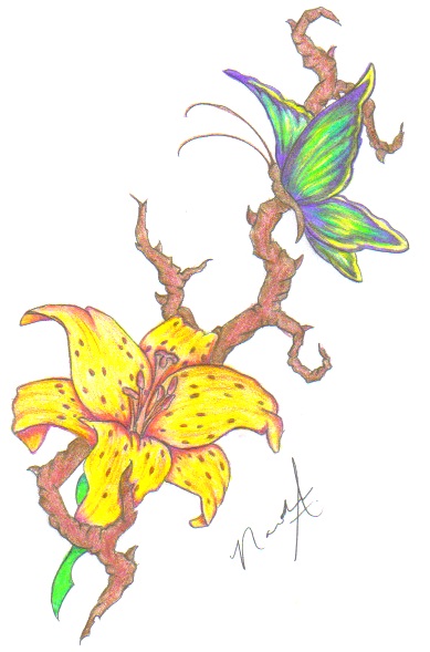 Lily Butterfly Color