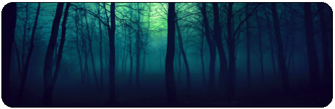 dark forest - decor by Volatile--Designs