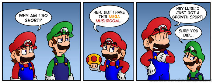 Mario's Solution