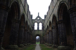 Kirkstall Abbey naive