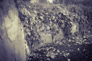 Pinhole Gravestones