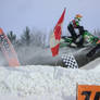 Snowcross Stock