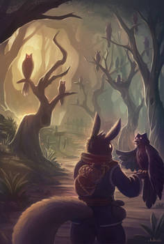 The Path in the Forest