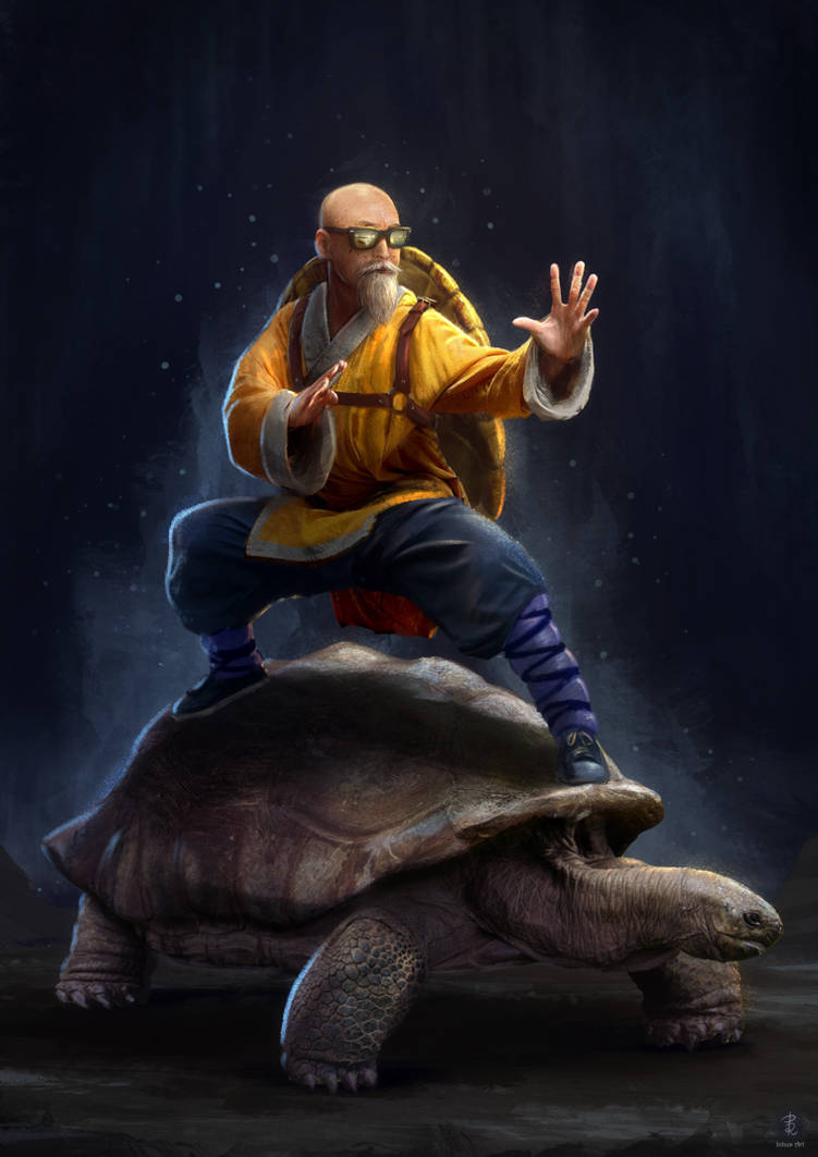 Muten Roshi- Live Action Concept by Inhus on DeviantArt
