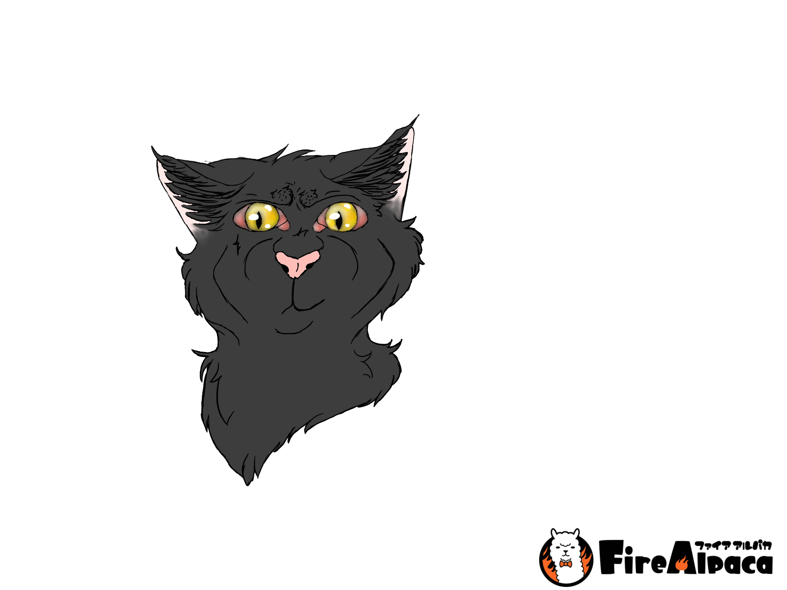 Toggle Cat Animation Blinking Cat Animation by DatSpeedyTurtle on DeviantArt
