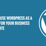 Why WordPress CMS for Your Business?